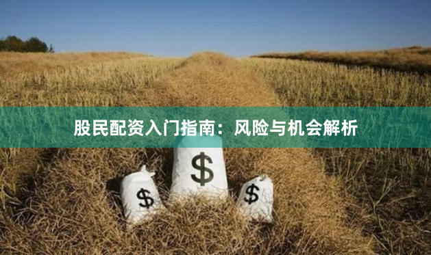 股民配资入门指南：风险与机会解析